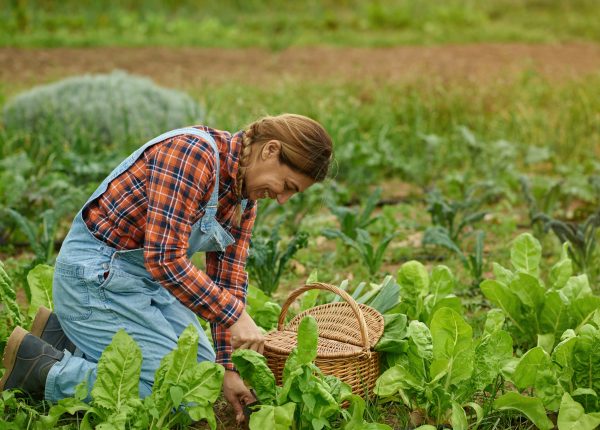 New Report Reveals Alarming Statistics on Farmworkers' Emergency Room Visits