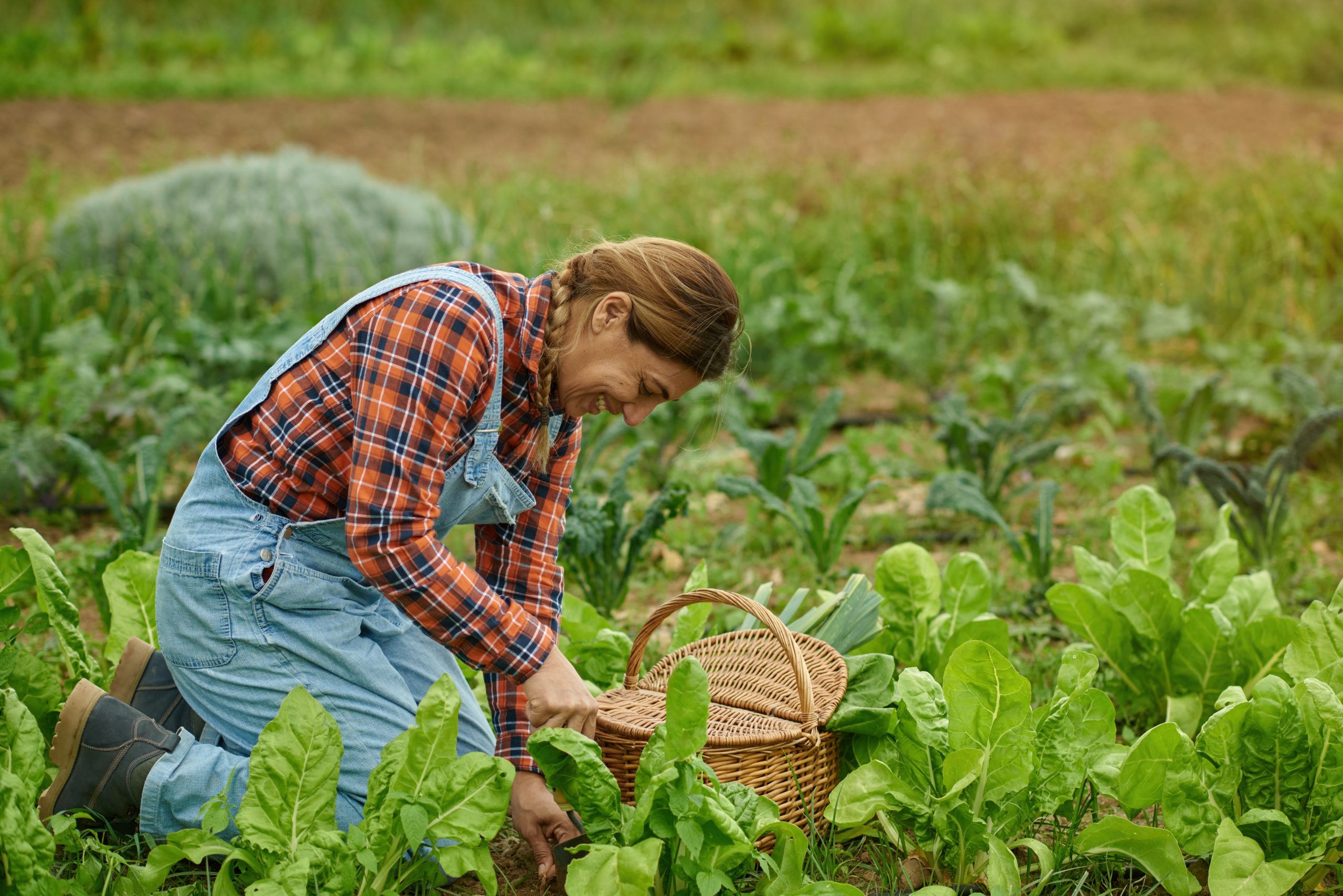 New Report Reveals Alarming Statistics on Farmworkers’ Emergency Room Visits